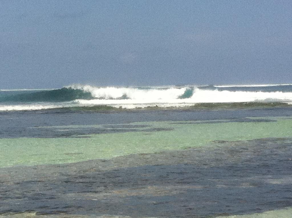 Mulah Surf Camp Hotel Muli Bagian luar foto